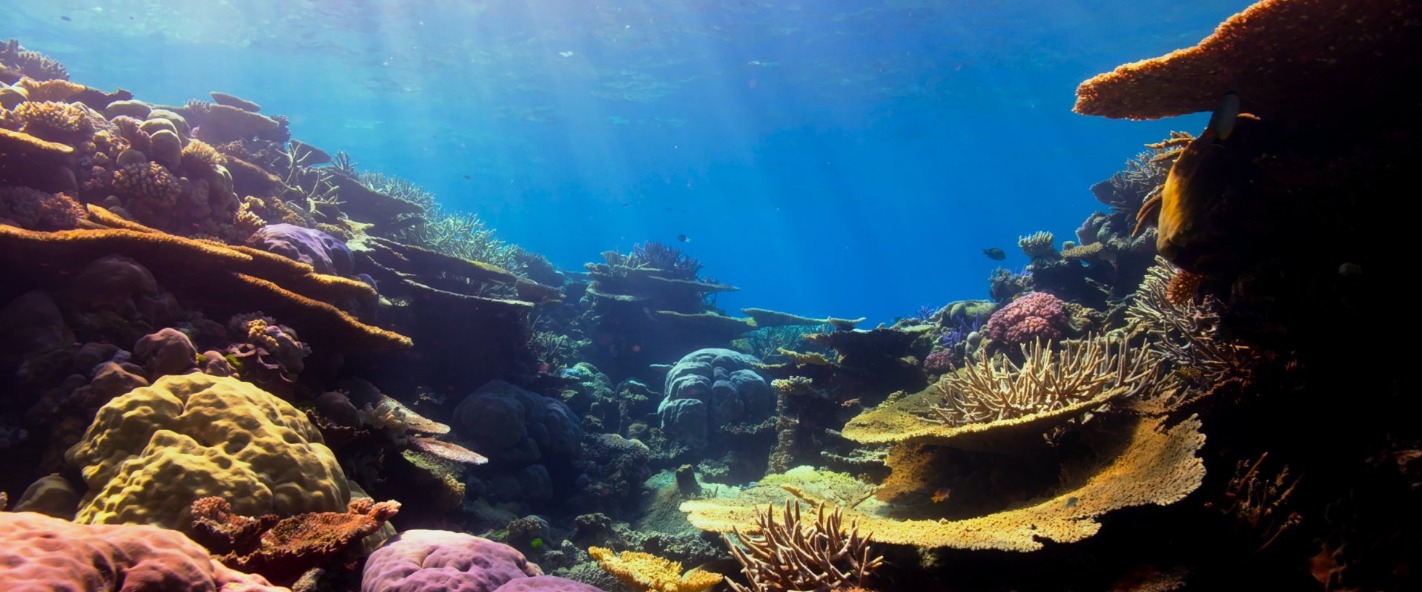 teacher and student reviewing work in the academic support center